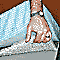 Memory Foam/Maxivent