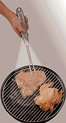 BBQ Taste Temp Fork