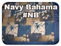 See the Navy Bahama Fabric